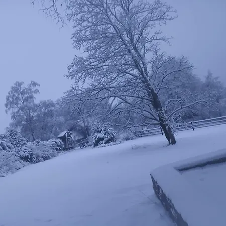 Au Vieux Nid, Circuit De Francorchamps Semesterbostad *