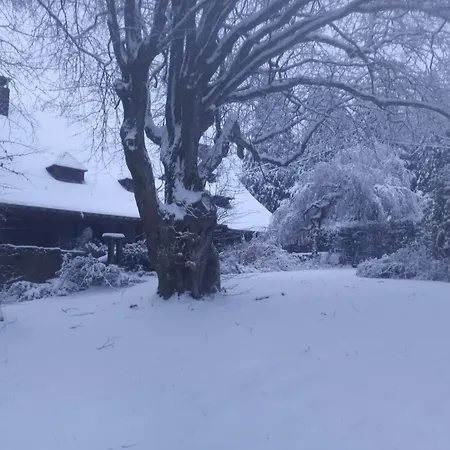 Au Vieux Nid, Circuit De Francorchamps *